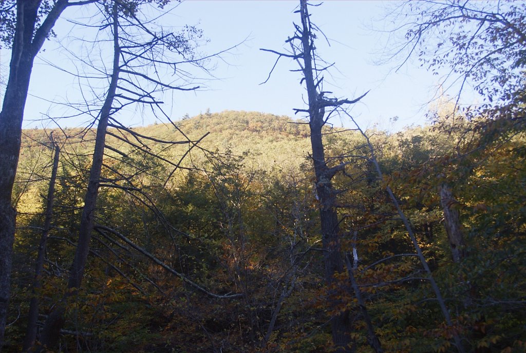 DSF1079.jpg