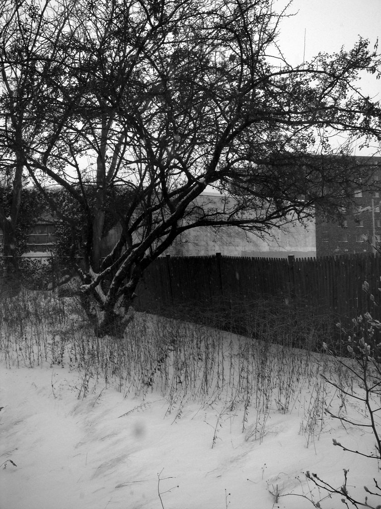 179458-bw.jpg