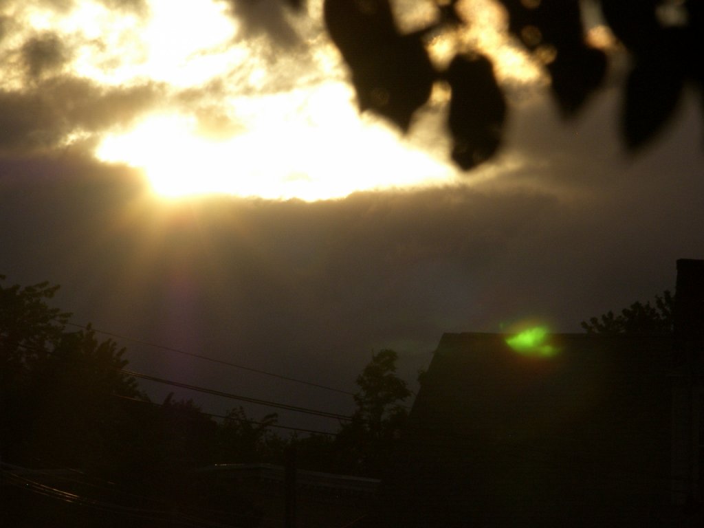 H100164.jpg