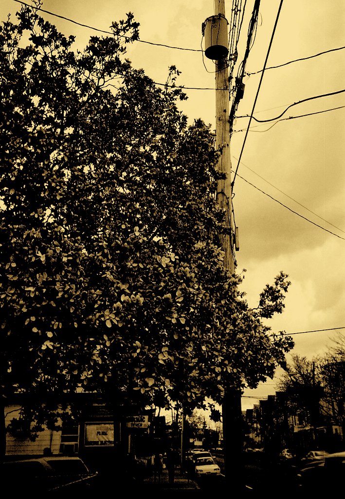 73530016-Beacon-Streetgold.jpg