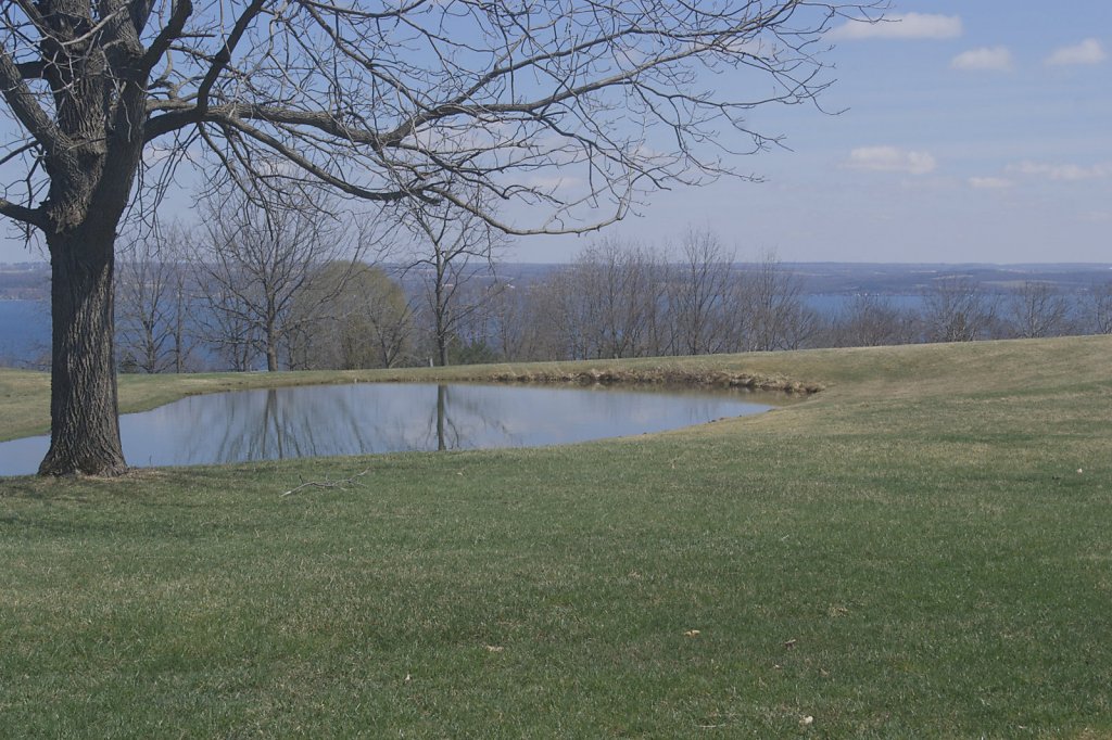 DSF4101.jpg